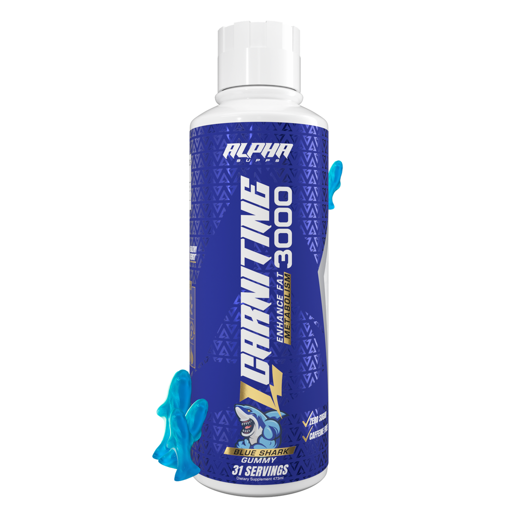 L-Carnitine 3000 L-Carnitine 3000