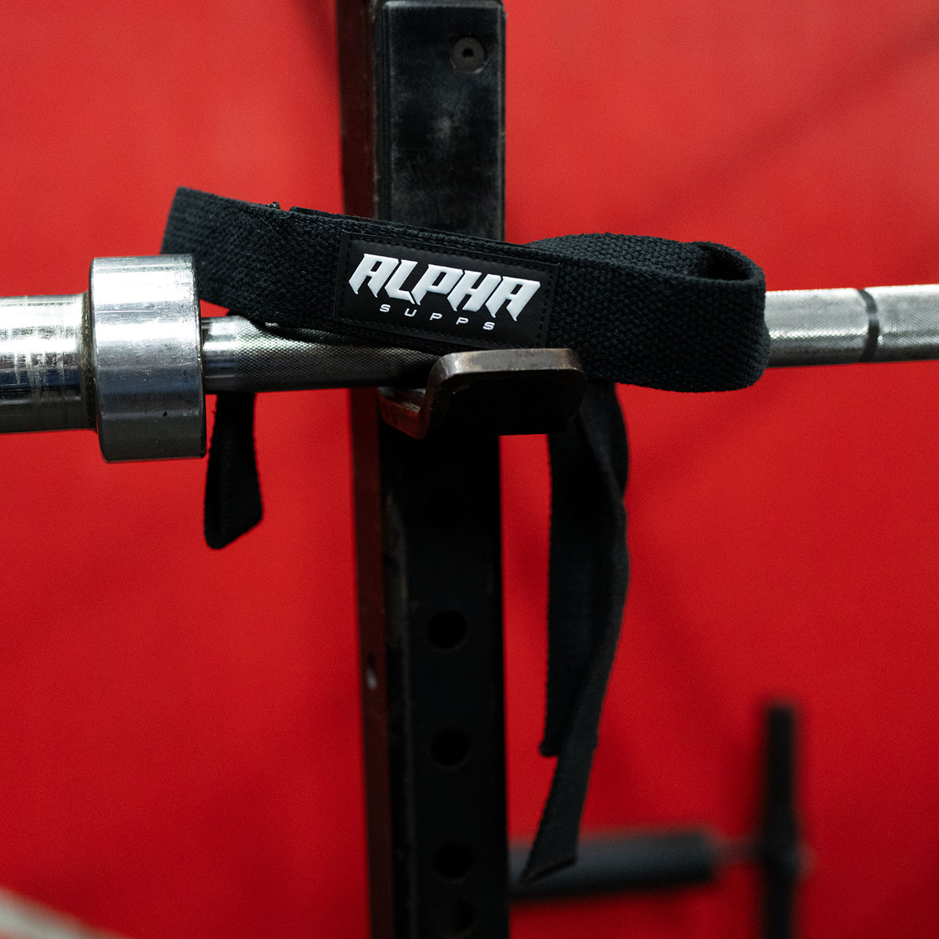 AS Lifting Belt - Alpha Supps®