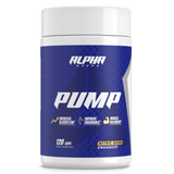 Pump